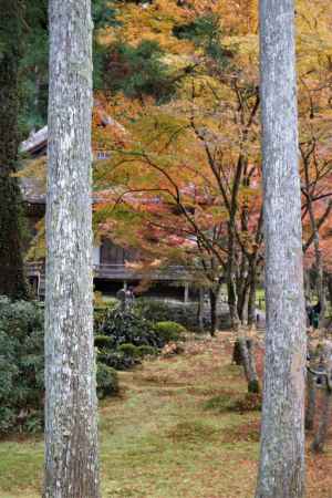 大原　三千院の紅葉9