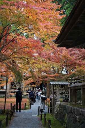 大原　三千院の紅葉11