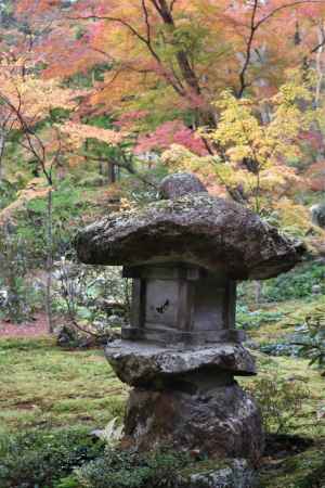 大原　三千院の紅葉13