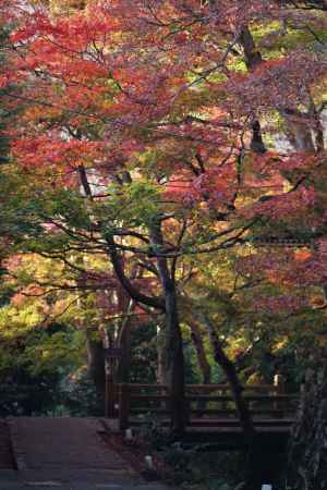 大原　三千院の紅葉2