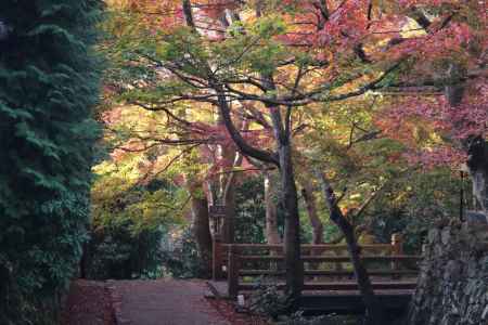 大原　三千院の紅葉4