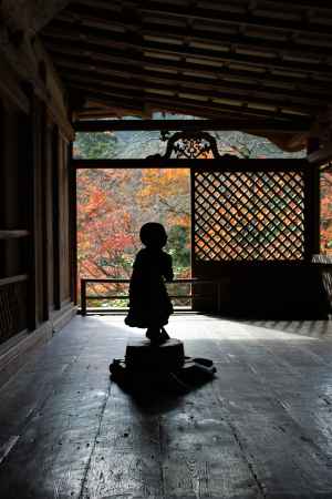 高山寺　石水院の紅葉2