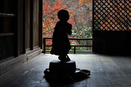 高山寺　石水院の紅葉7