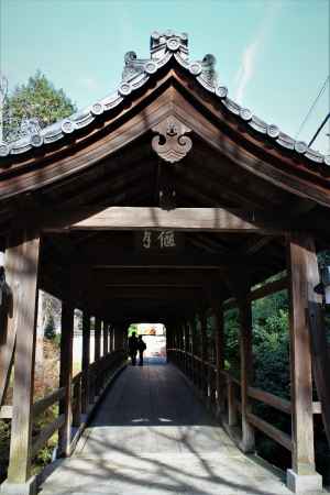 東福寺偃月橋2