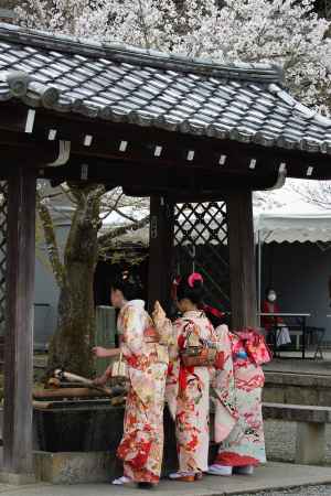 虚空蔵法輪寺　十三参り2