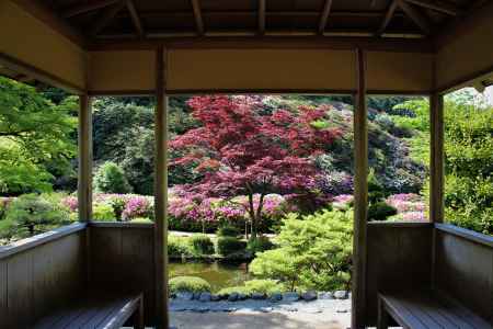 三室戸寺　庭園