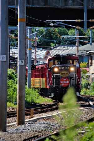 嵯峨野観光鉄道　トロッコ列車3