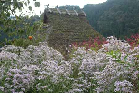 美山かやぶきの里2