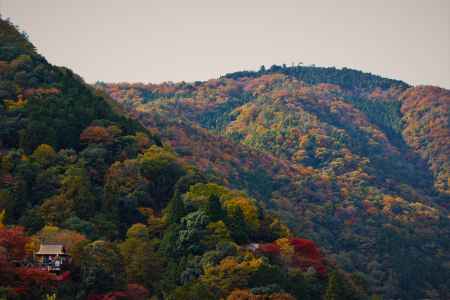 嵐山の紅葉