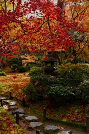 大河内山荘の紅葉