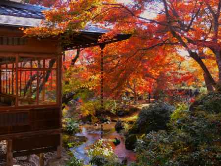 宝厳院の紅葉