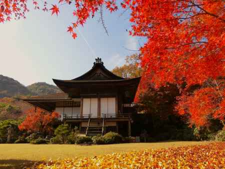 大河内山荘の紅葉