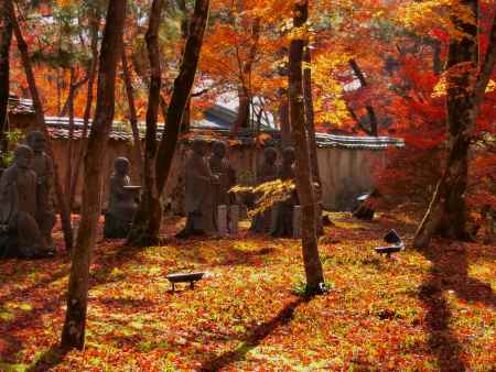宝厳院の紅葉