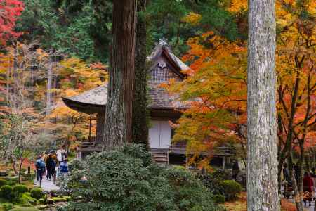 大原三千院　紅葉