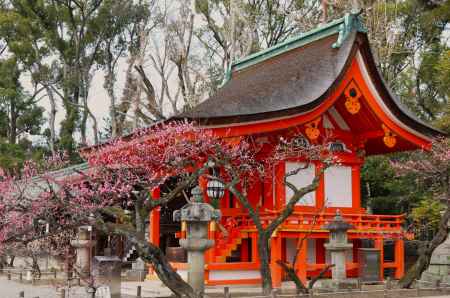 北野天満宮　梅