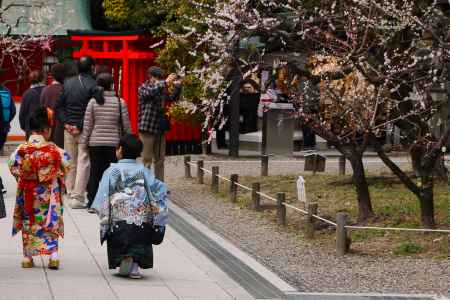 北野天満宮　梅