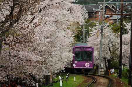 嵐電桜のトンネル4