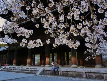南禅寺の桜3
