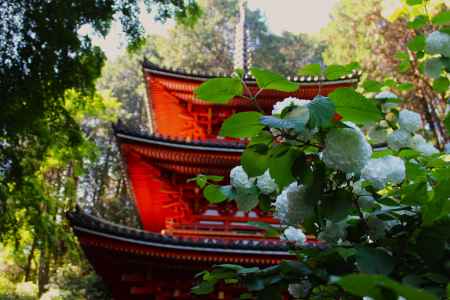 岩船寺　三重塔とおおてまり