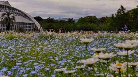 京都府立植物園