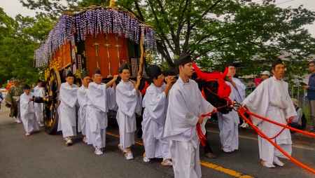 葵祭　牛車