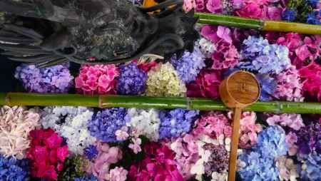 柳谷観音楊谷寺の花手水2