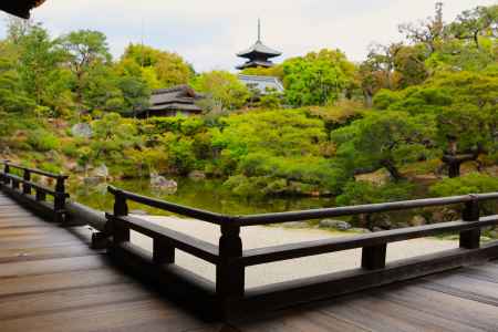 仁和寺　本殿⑤