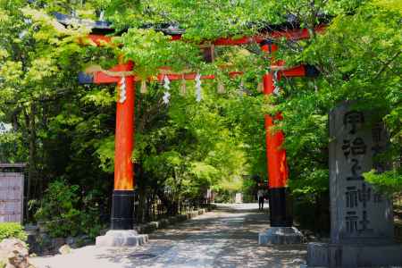 宇治上神社鳥居