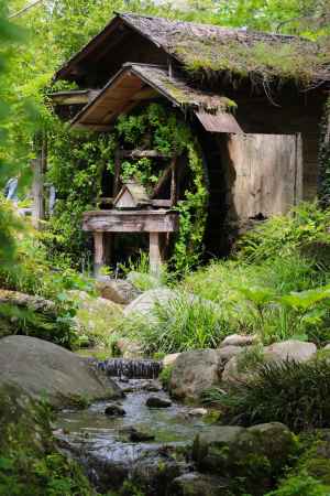 京都府立植物園　水車小屋