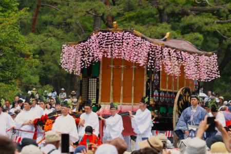 葵祭京都御苑 牛車