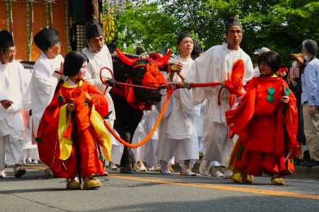 葵祭 童子と牛