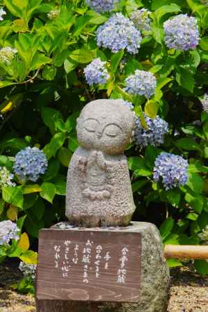 観音寺のあじさいと地蔵