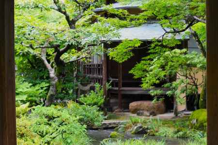 天龍寺庭園