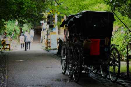 嵐山公園人力車