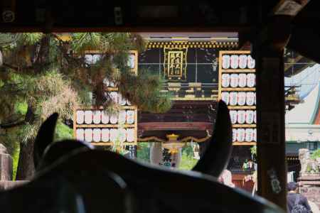 夏の北野天満宮