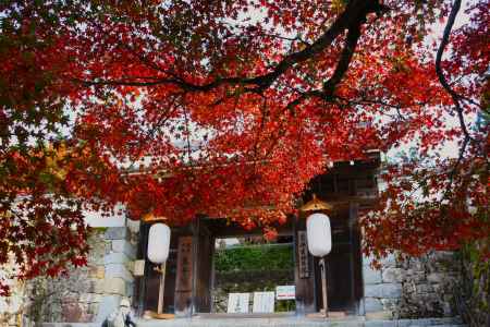 門跡寺院三千院の門