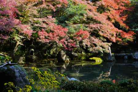 蓮華寺の紅葉 ③