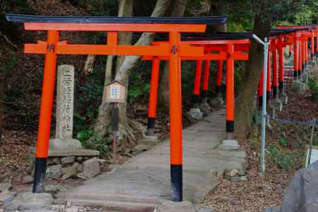 二葉姫稲荷神社　鳥居