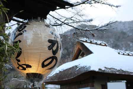 嵐山公園　冬景色