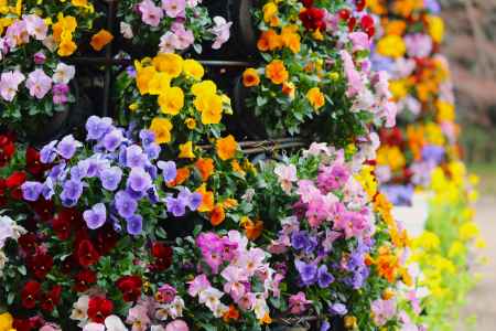 京都府立植物園　