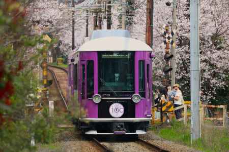 嵐電さくらのトンネル