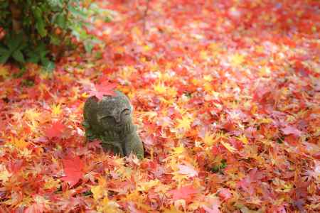 圓光寺と微笑むお地蔵さん
