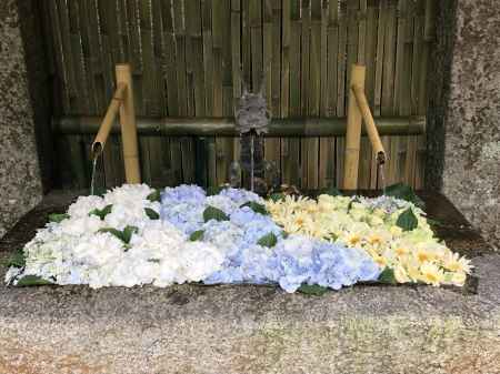 紫陽花の花手水