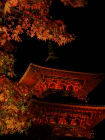 清水寺　夜5