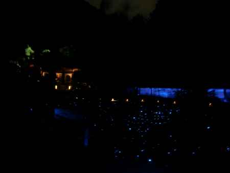 青蓮院　夜3