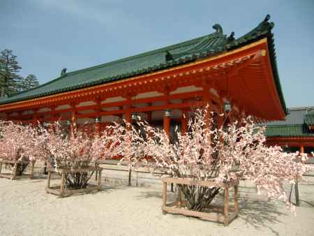 2013平安神宮　桜おみくじ2