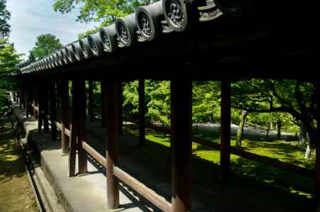 東福寺 通天橋と青紅葉2