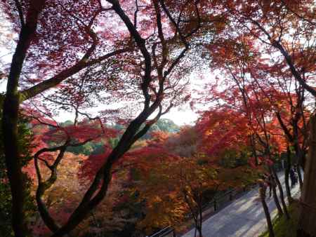 清水寺の紅葉