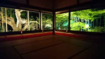 宝泉院のライトアップ