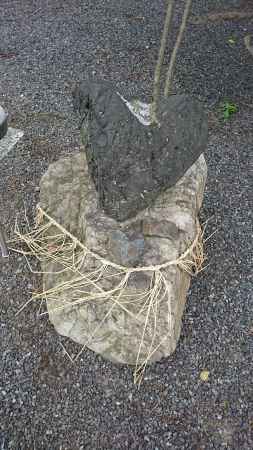 陶器神社 ハートの神石